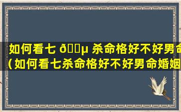 如何看七 🌵 杀命格好不好男命（如何看七杀命格好不好男命婚姻）